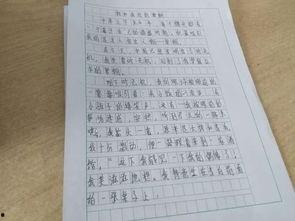 吃瓜大赛作文600字,一场舌尖上的吃瓜大赛盛况